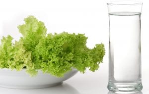 Water Fasting header with lettuce and water