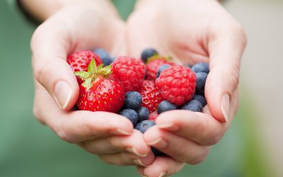 Balance Your Diet with Berries