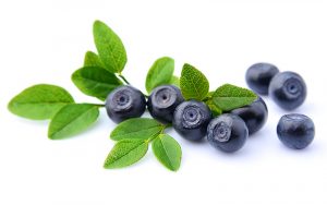 Blueberries, Weight Loss Retreats Florida, Weight Loss Retreat Deerfield Fl