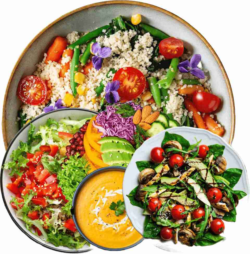BALANCE FOR LIFE RETREATS VEGAN CUISINE DETOX PROGRAM FOOD